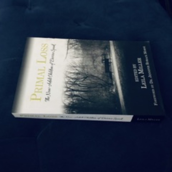 Primal Loss: Now-Adult Children of Divorce paperback - Picture 5 of 5